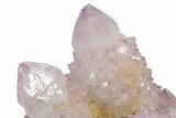 Sparkling Cactus Amethyst Crystal Cluster - South Africa #364570-1